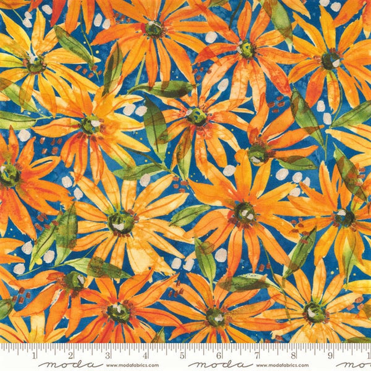Fresh As A Daisy Cobalt black eye susan