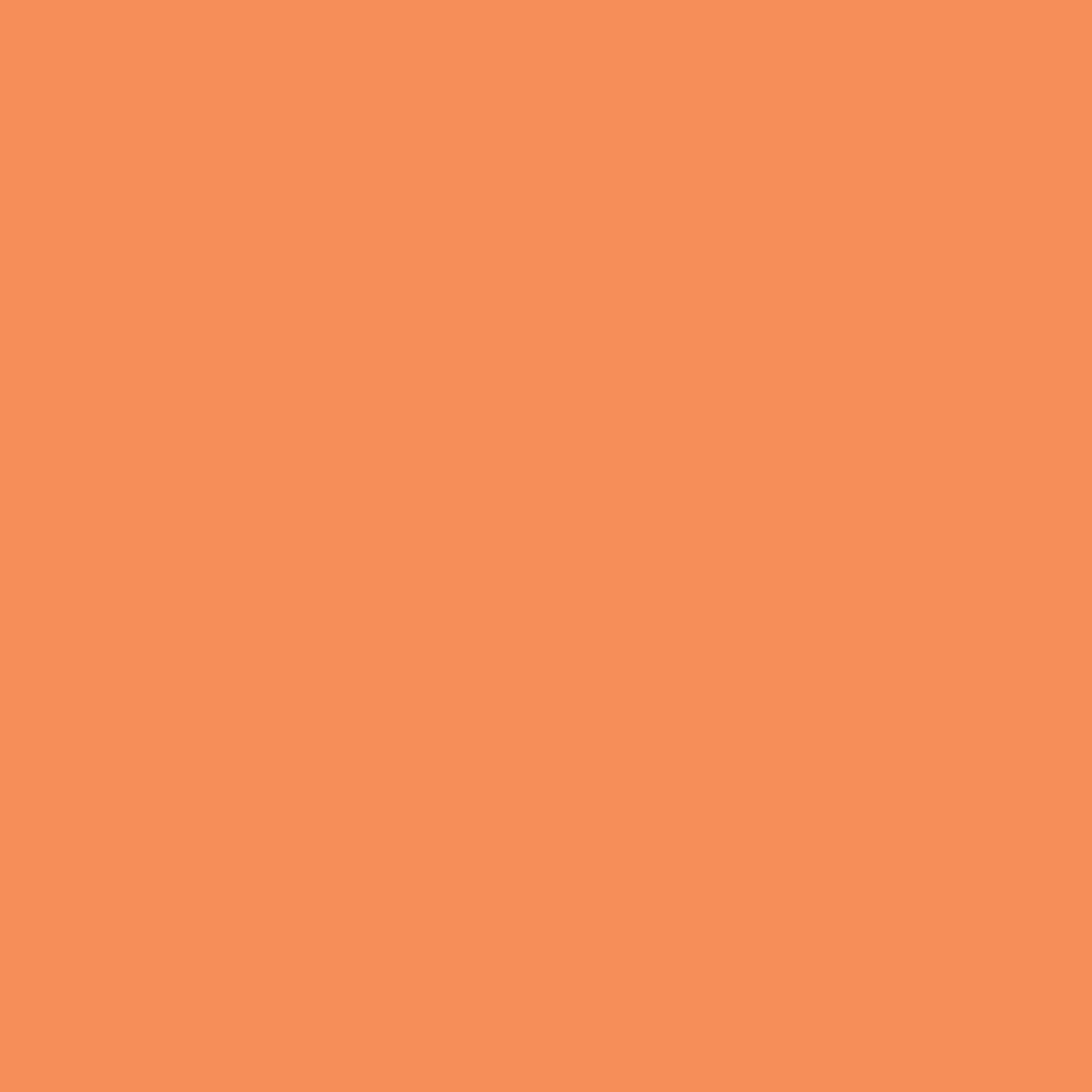 PE-539 Marmalade